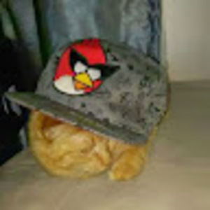 Meet your Posher, Tony